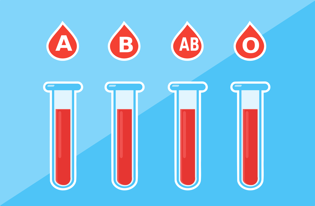 Er zijn 4 bloedgroepen A, B, AB, O